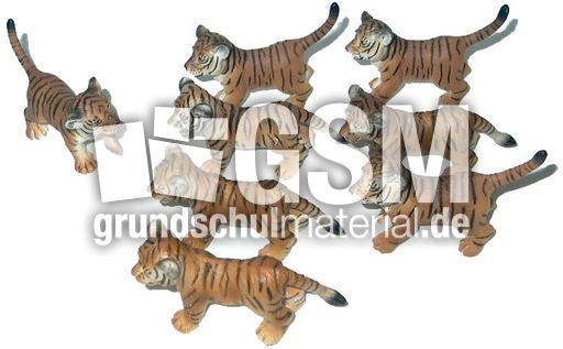 Tiger-1+7.jpg